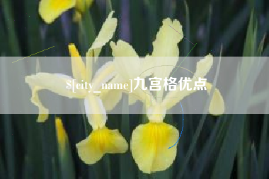 舟山九宫格优点