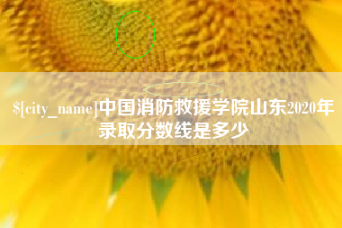 舟山中国消防救援学院山东2020年录取分数线是多少