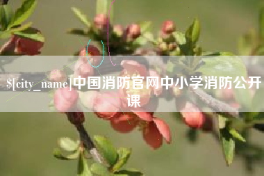 舟山中国消防官网中小学消防公开课