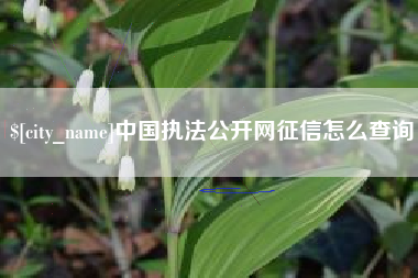 舟山中国执法公开网征信怎么查询