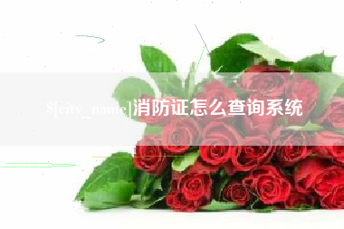 舟山消防证怎么查询系统