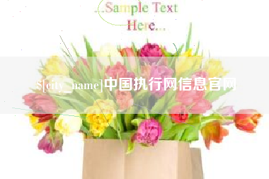 舟山中国执行网信息官网
