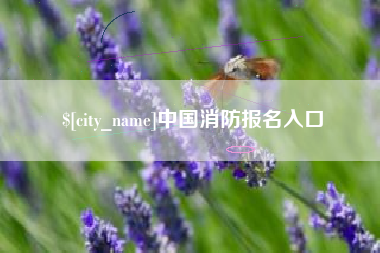 舟山中国消防报名入口