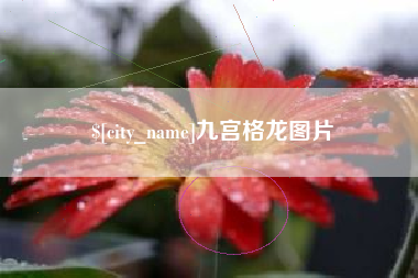 舟山九宫格龙图片