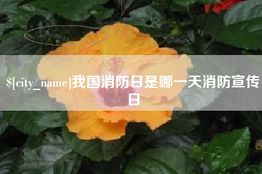 舟山我国消防日是哪一天消防宣传日