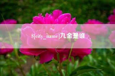 舟山九金是谁