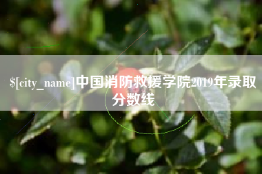 舟山中国消防救援学院2019年录取分数线