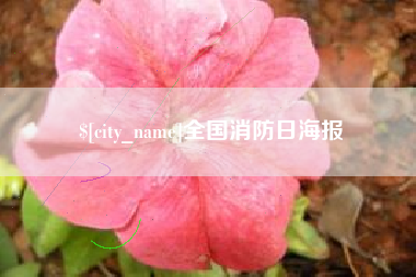舟山全国消防日海报