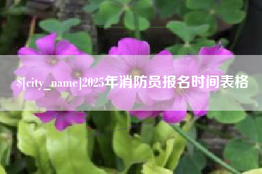 舟山2025年消防员报名时间表格