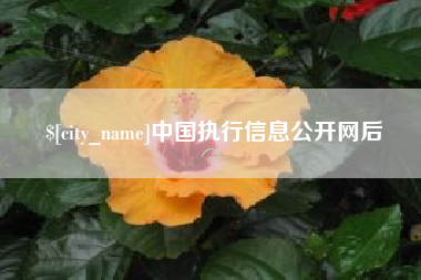 舟山中国执行信息公开网后