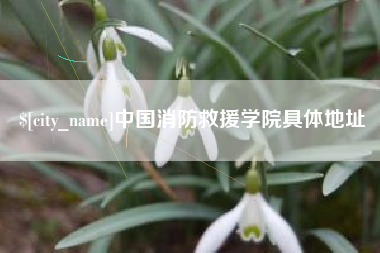 舟山中国消防救援学院具体地址