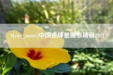 舟山中国金牌是哪些项目2021