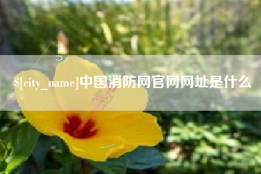 舟山中国消防网官网网址是什么
