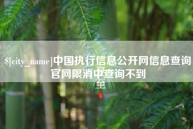 舟山中国执行信息公开网信息查询官网限消中查询不到
