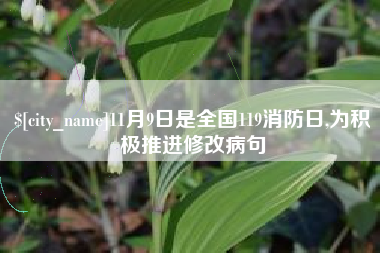 舟山11月9日是全国119消防日,为积极推进修改病句