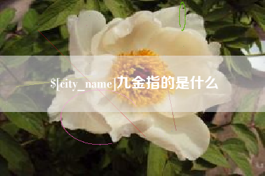 舟山九金指的是什么