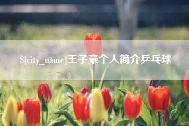 舟山王子豪个人简介乒乓球
