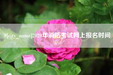 舟山2020年消防考试网上报名时间