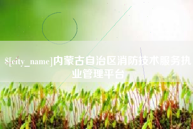 舟山内蒙古自治区消防技术服务执业管理平台