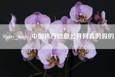 舟山中国执行信息公开网真的假的