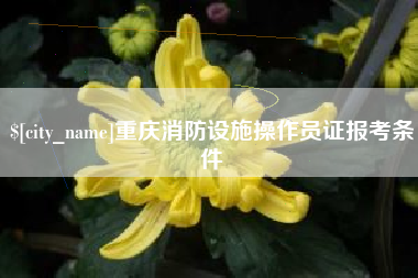 舟山重庆消防设施操作员证报考条件