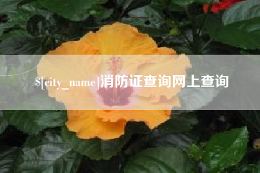 舟山消防证查询网上查询