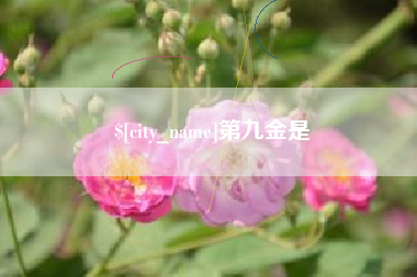 舟山第九金是