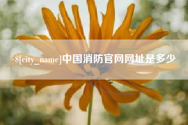 舟山中国消防官网网址是多少