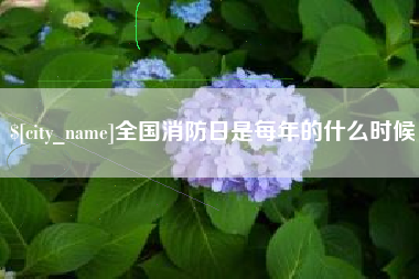 舟山全国消防日是每年的什么时候