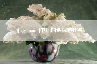 舟山中国的金牌有几名