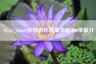 舟山中国消防救援学院2020录取分