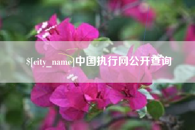 舟山中国执行网公开查询