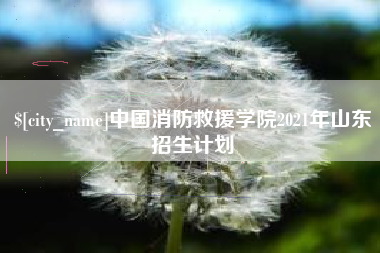 舟山中国消防救援学院2021年山东招生计划