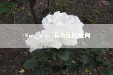 舟山消防证的查询