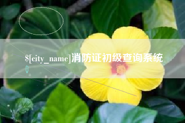 舟山消防证初级查询系统