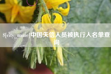 舟山中国失信人员被执行人名单查询