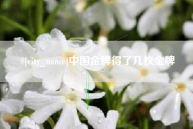 舟山中国金牌得了几枚金牌