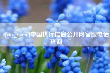 舟山中国执行信息公开网客服电话查询