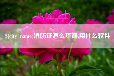 舟山消防证怎么查询,用什么软件