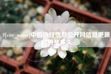 舟山中国执行信息公开网信息更新时间是多久