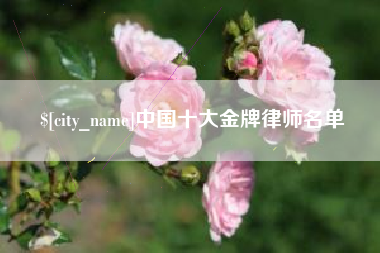 舟山中国十大金牌律师名单
