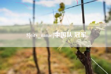舟山中国队 冠军