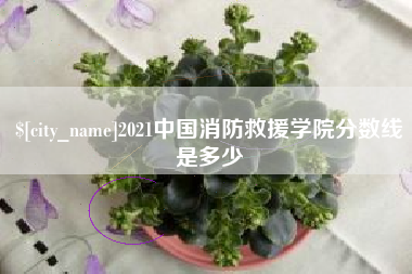 舟山2021中国消防救援学院分数线是多少