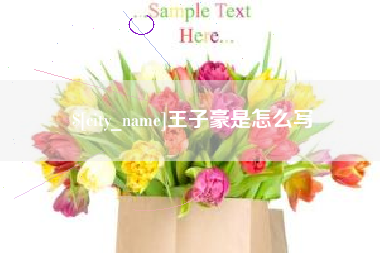 舟山王子豪是怎么写