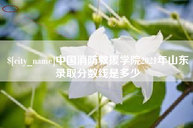 舟山中国消防救援学院2021年山东录取分数线是多少