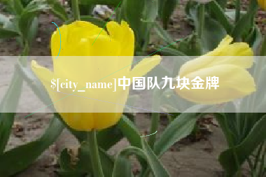 舟山中国队九块金牌