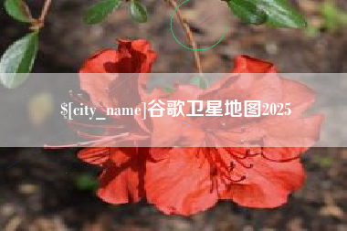 舟山谷歌卫星地图2025