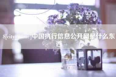 舟山中国执行信息公开网是什么东西