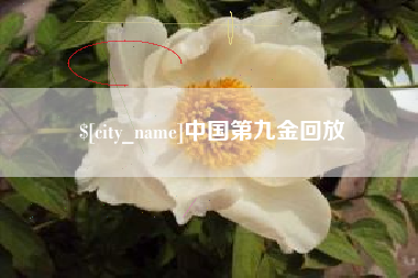 舟山中国第九金回放