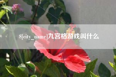 舟山九宫格游戏叫什么